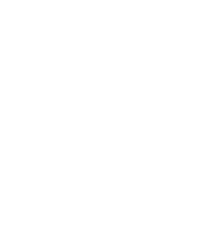 startseite Icon